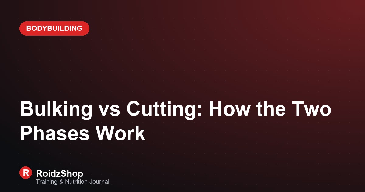 Bulking vs Cutting: How the Two Phases Work